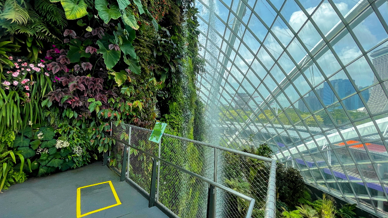 Gardens by the Bay