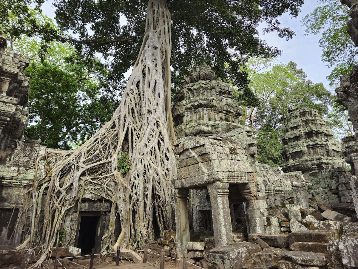 Ta Prohm